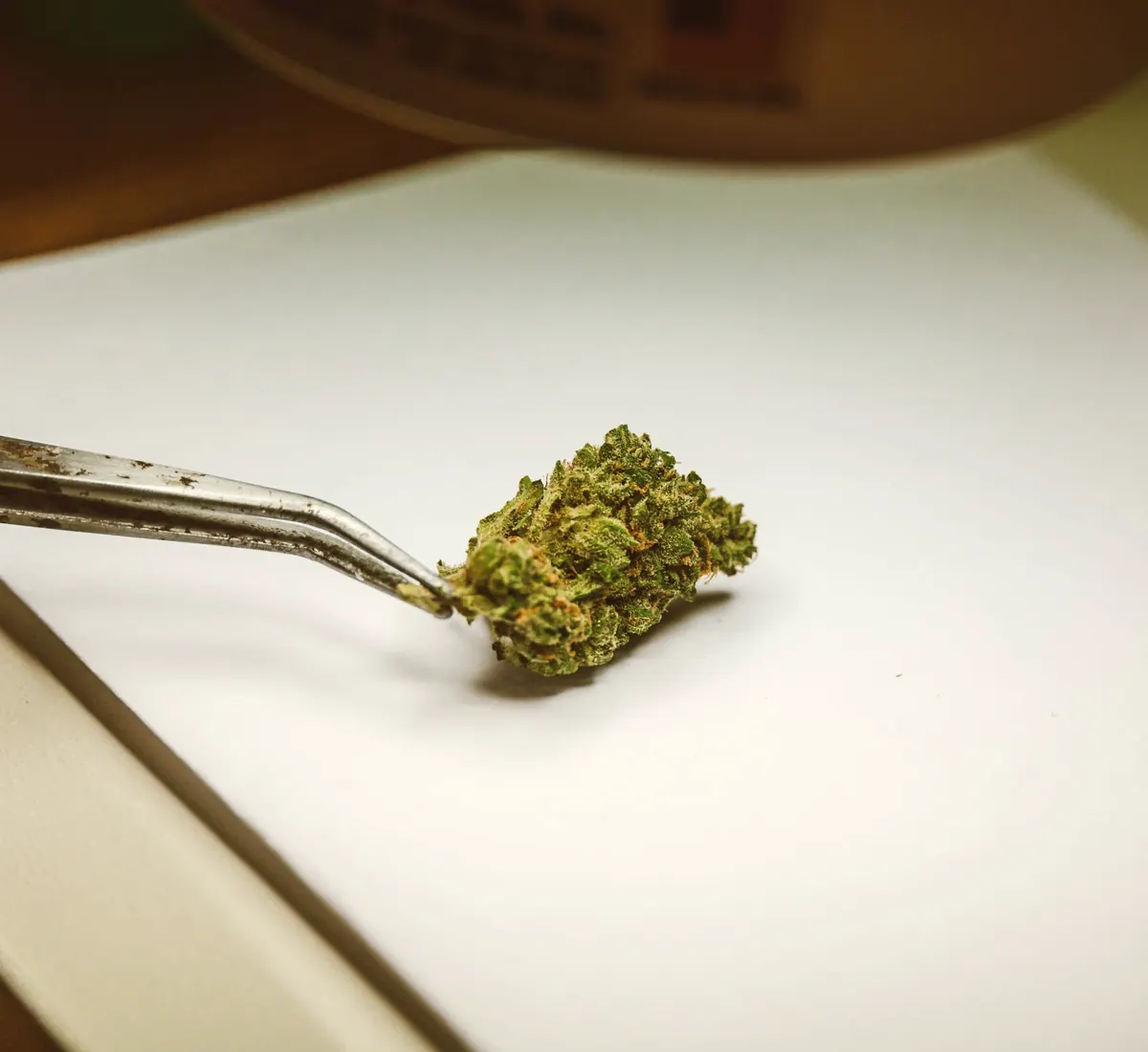 Tweezers holding a cannabis bud for inspection