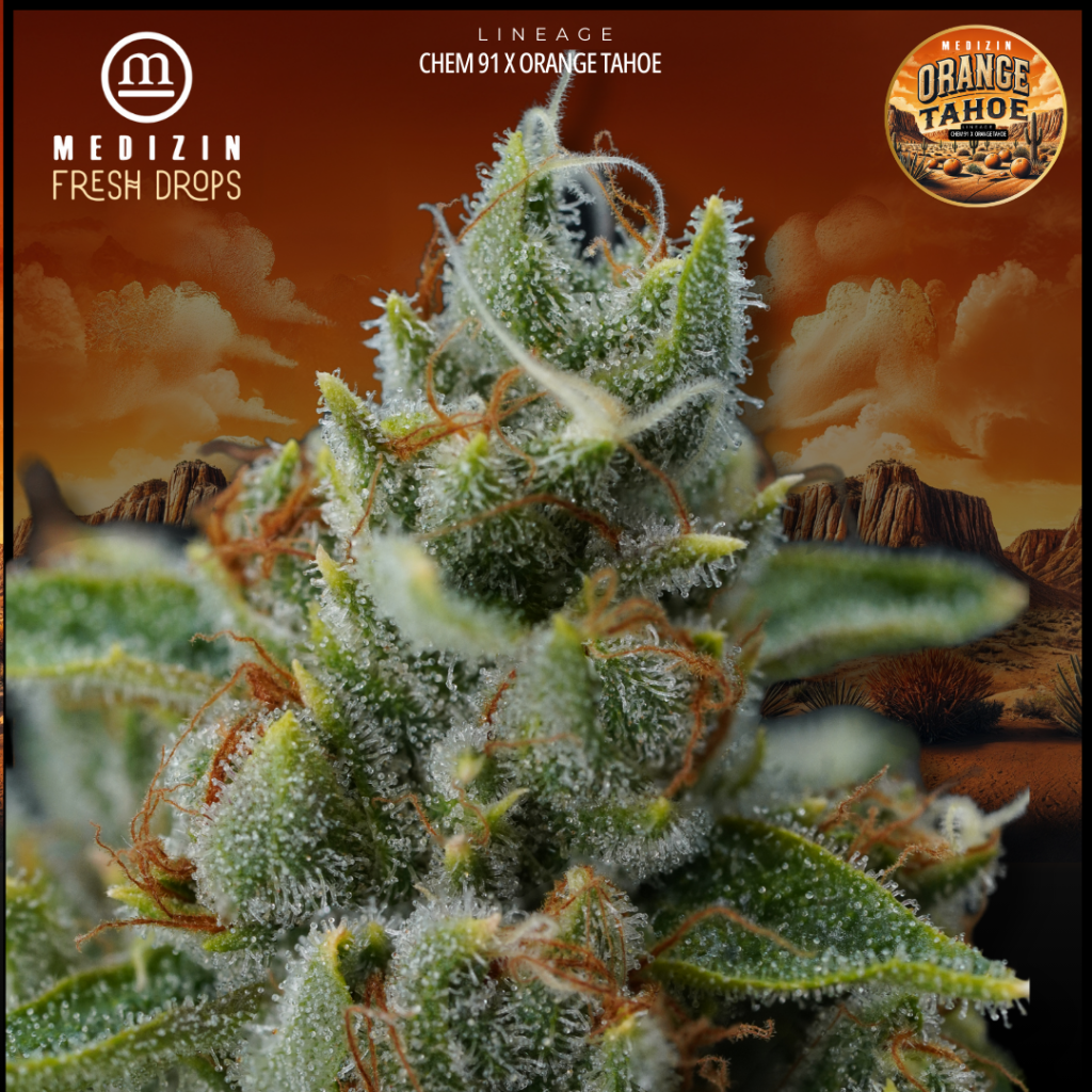 Medizin Orange Tahoe 3.5g Prepack