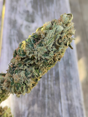 Dark Rainbow Strain Flower cannabis strain flower bud