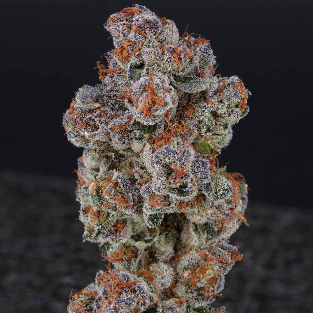 Khalifa Kush Baby Turtle 3.5g Prepack