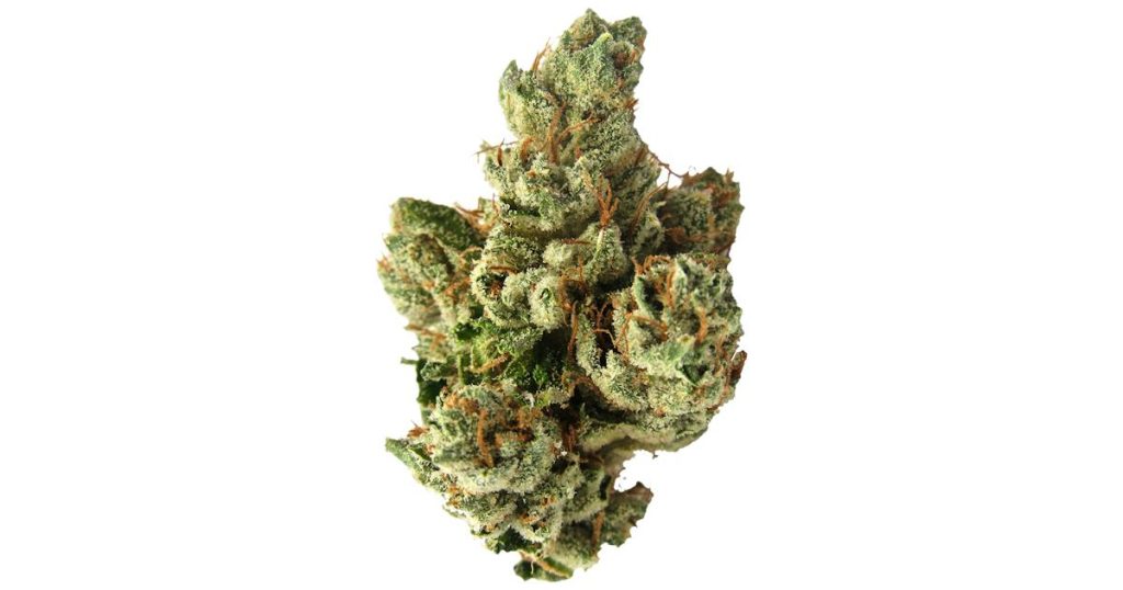 Sfv Og Strain Flower cannabis strain flower bud