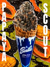 Sundae Co Papaya Scout 3.5g Prepack