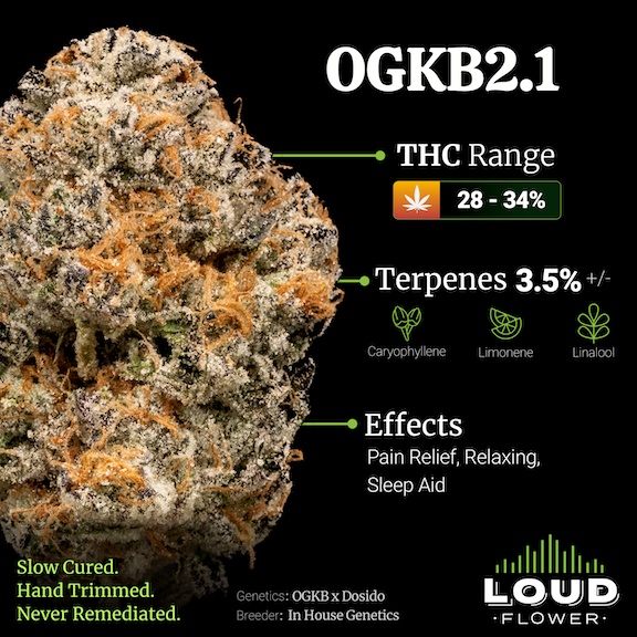 Ogkb Strain Flower cannabis strain flower bud