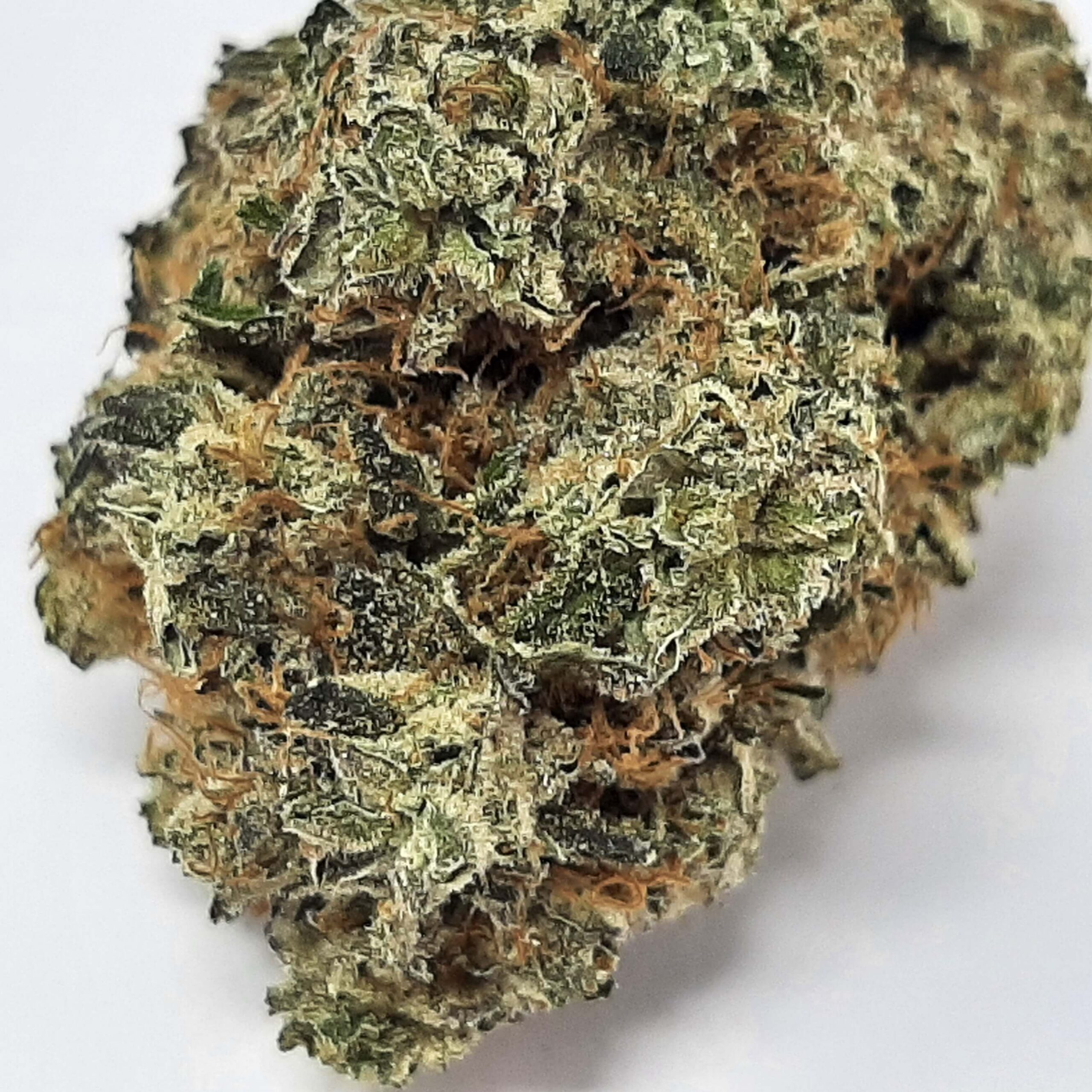 AAA+ Black Death Bubba – HighClub