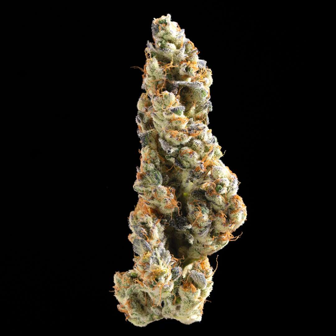 Medizin Daily Grape 1g Preroll