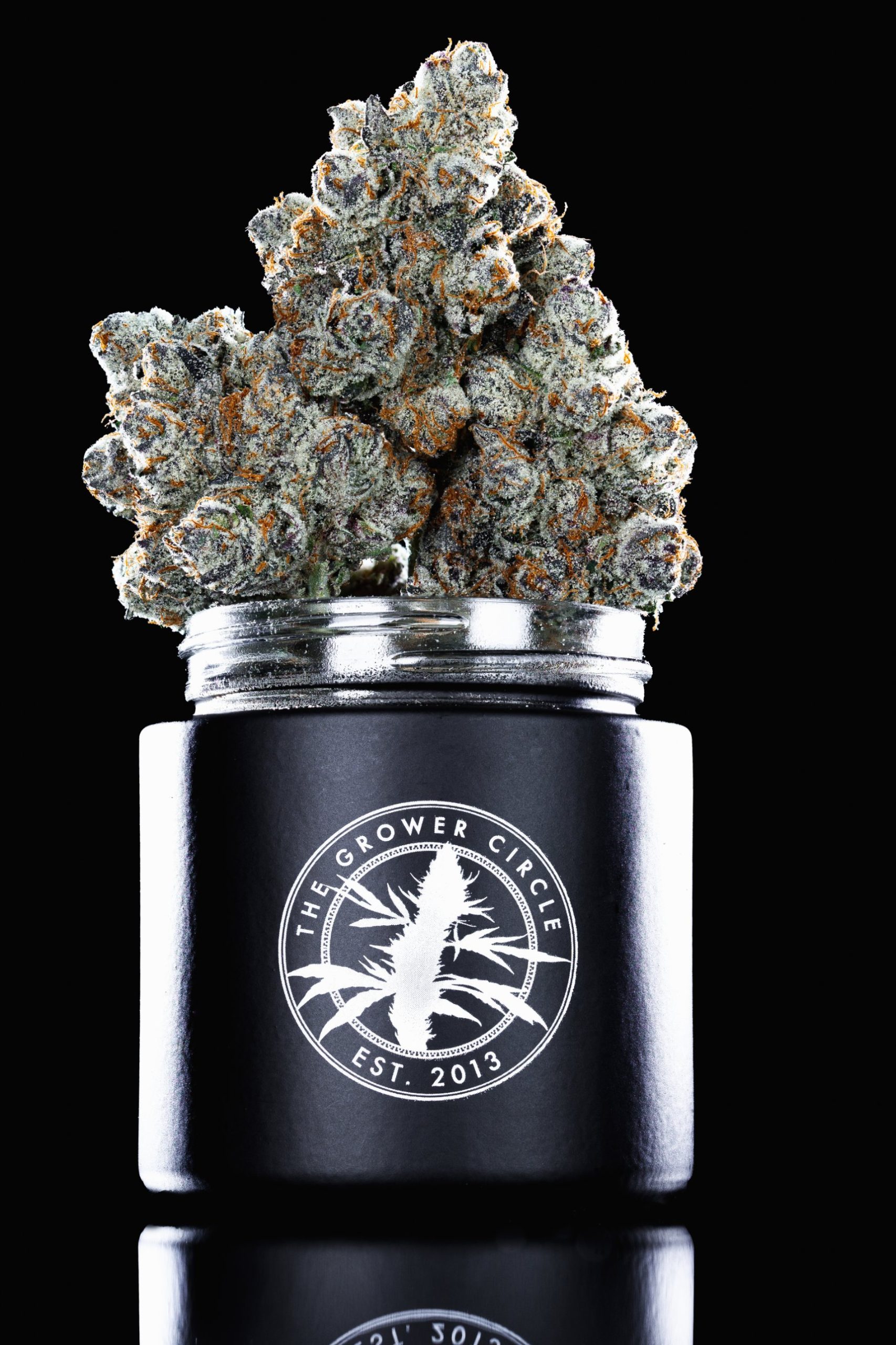 The Grower Circle Jet Fuel Gelato 3.5g prepack