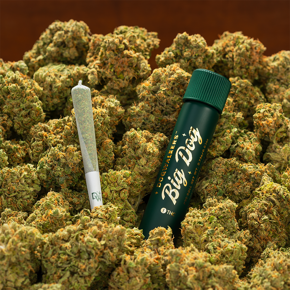 Dogwalkers Gogurtz Stay 1g Preroll