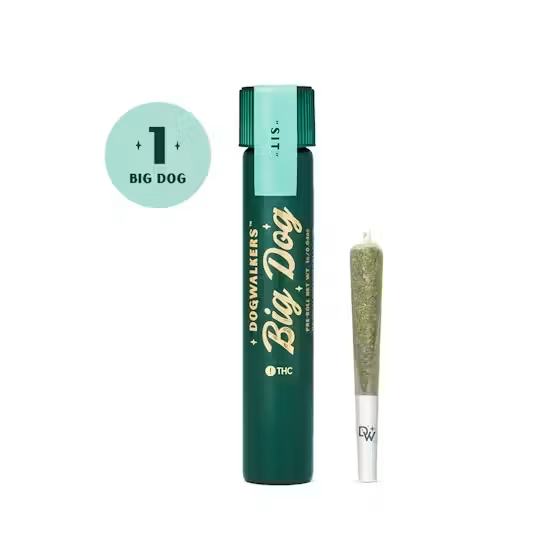 Dogwalkers Fruitcake Sit 1g Preroll