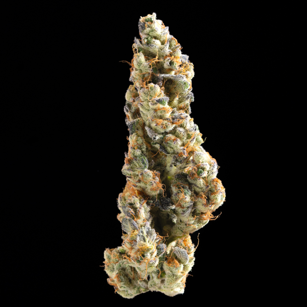 Medizin Daily Grape 3.5g Prepack