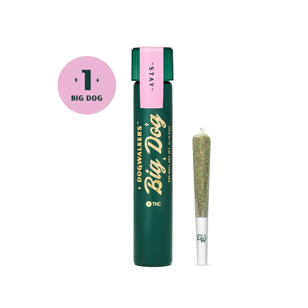 Dogwalkers Runtz Stay 1g Preroll