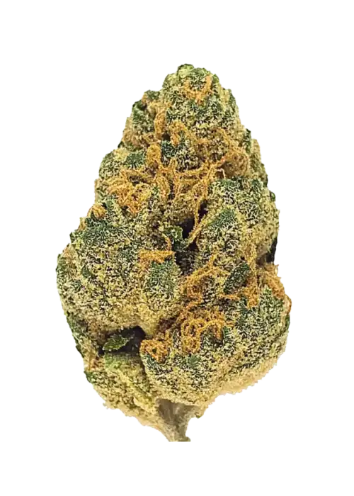 Papaya Bomb Strain Flower cannabis strain flower bud