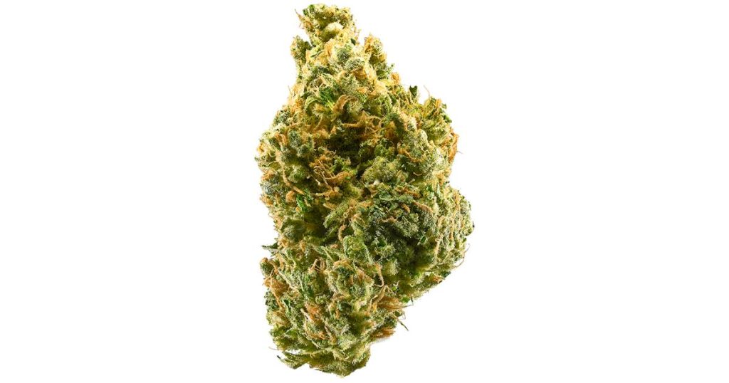 Tangie Strain Flower cannabis strain flower bud