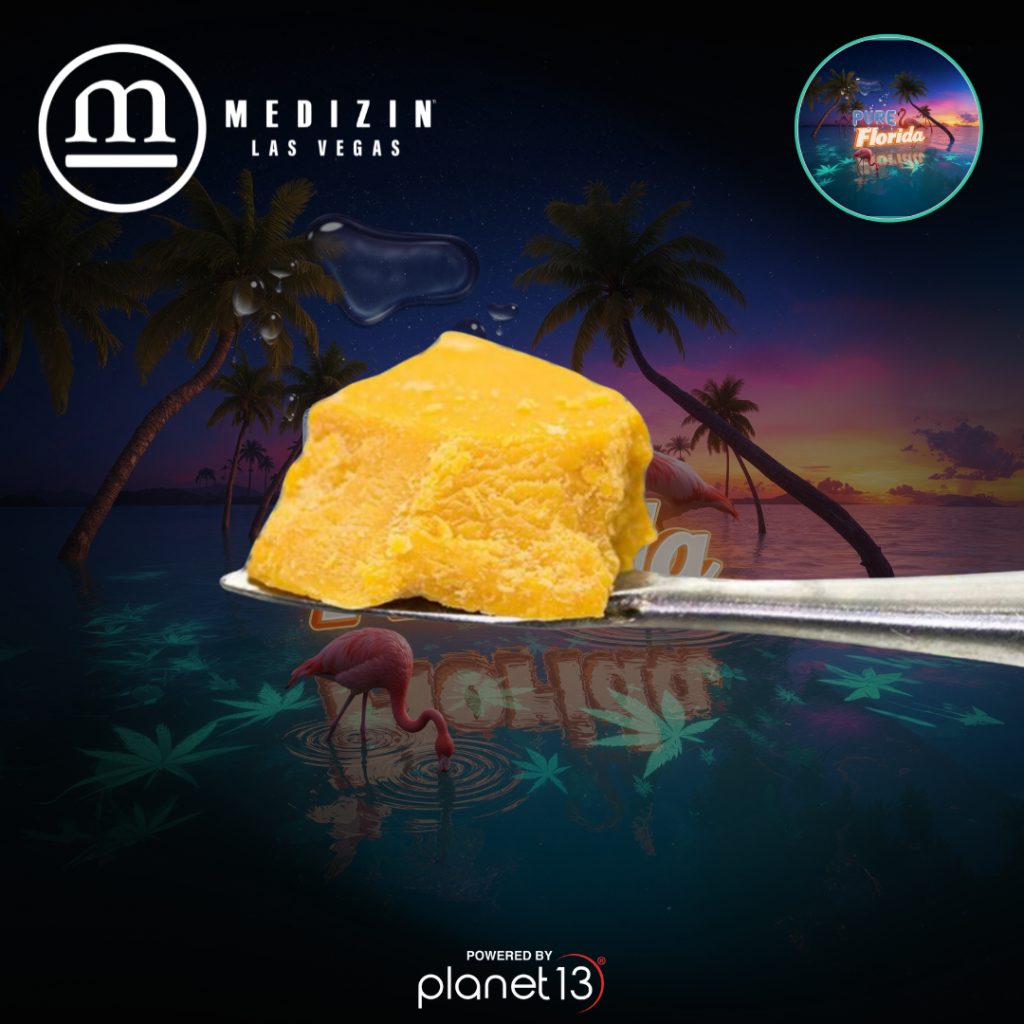 Medizin Pure Florida 1g Live Resin Badder