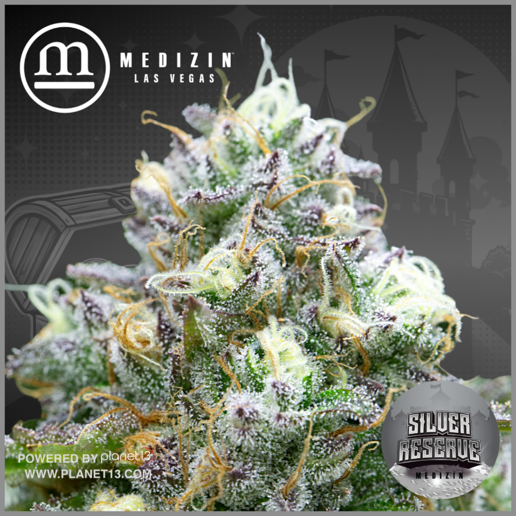 Medizin Silver Reserve 1g Preroll