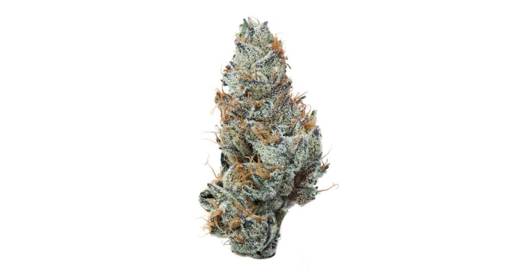 Grape Ape Strain Flower cannabis strain flower bud