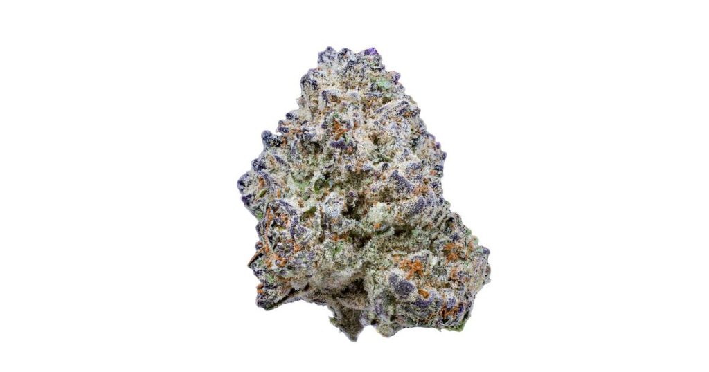 Slurricane Strain Flower cannabis strain flower bud