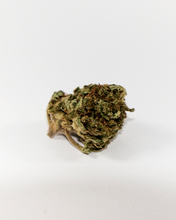 Birthday Cake Strain Flower cannabis strain flower bud