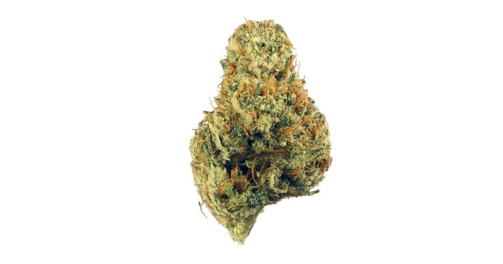 Dutch Treat Strain Flower cannabis strain flower bud