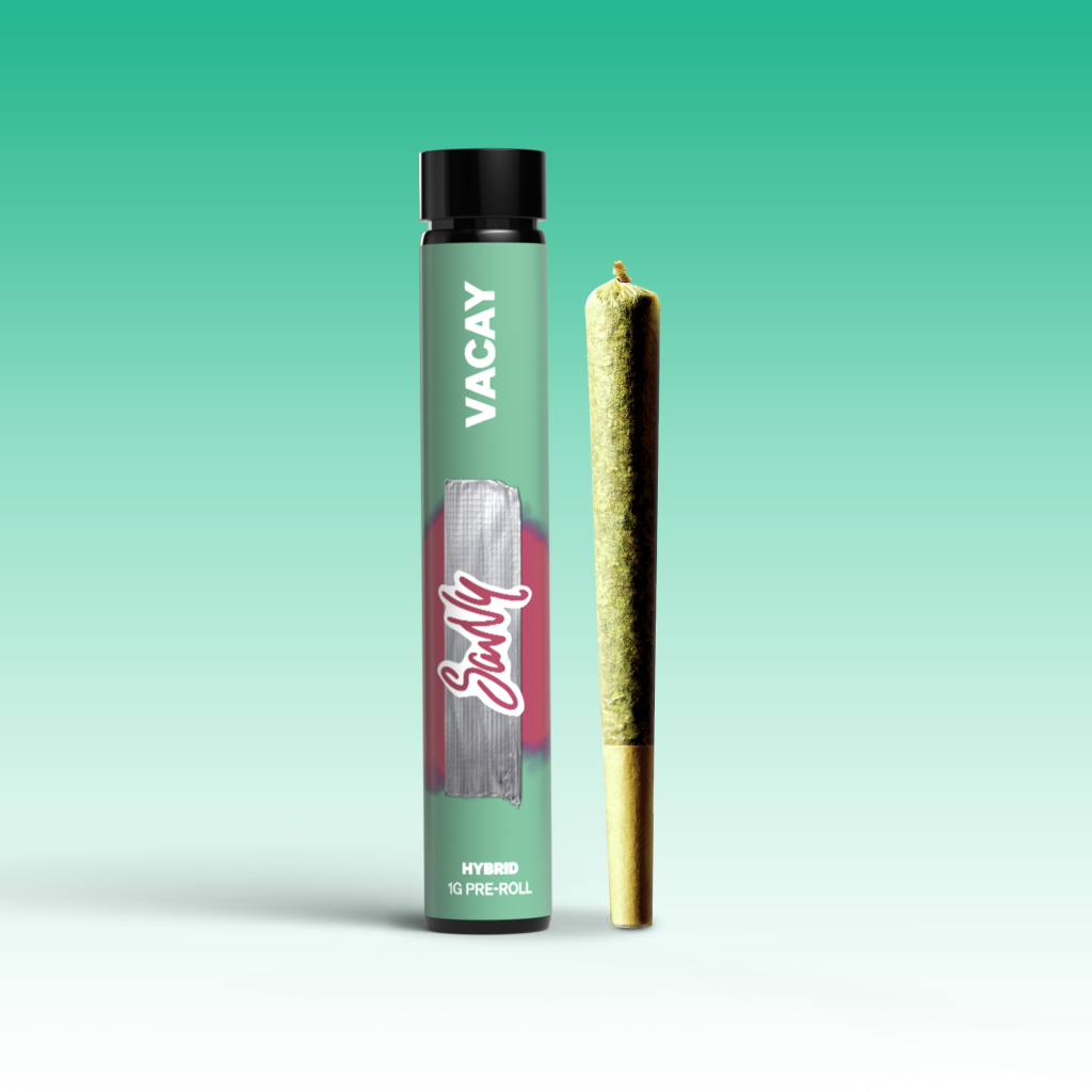 Savvy Vacay Kosher Dawg 1g Preroll