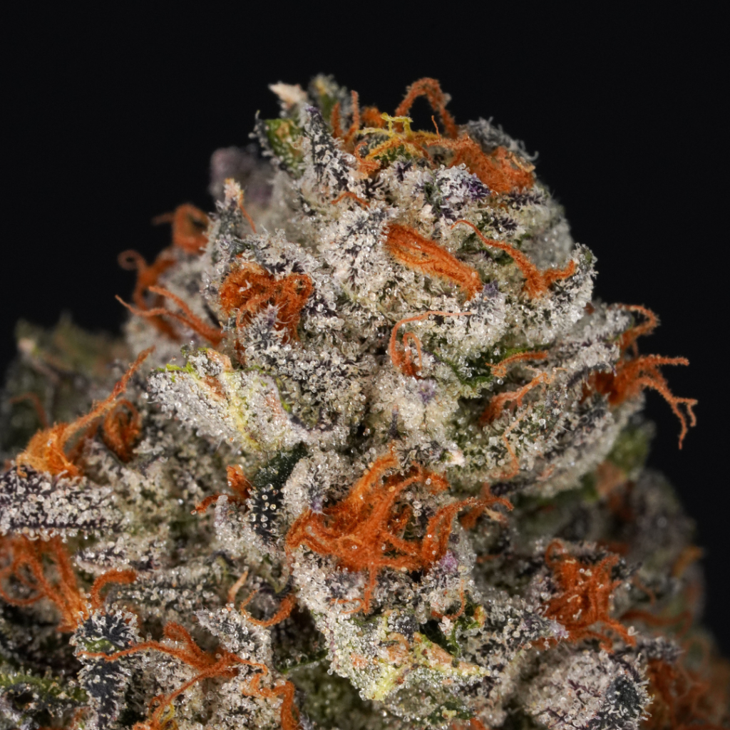 Khalifa Kush Point Breeze 3.5g Prepack