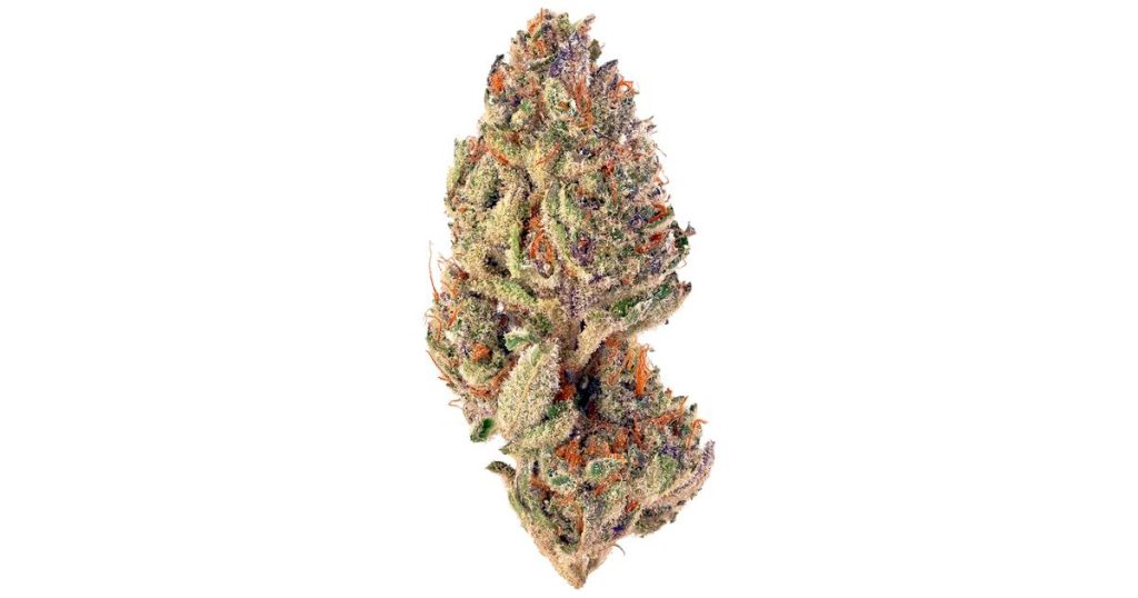 Tropicana Cookies Strain Flower cannabis strain flower bud