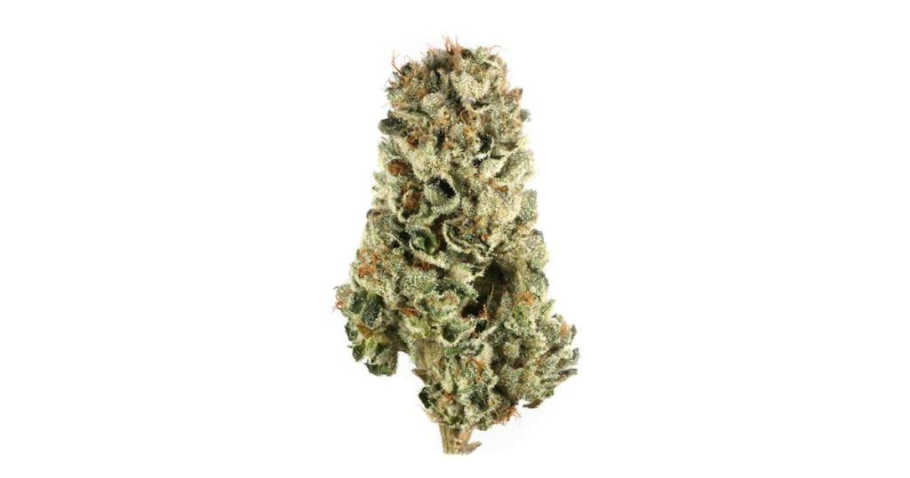 Cherry Pie Strain Flower cannabis strain flower bud