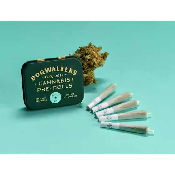 Dogwalkers Brownie Scout Sit .35g Preroll 5pk