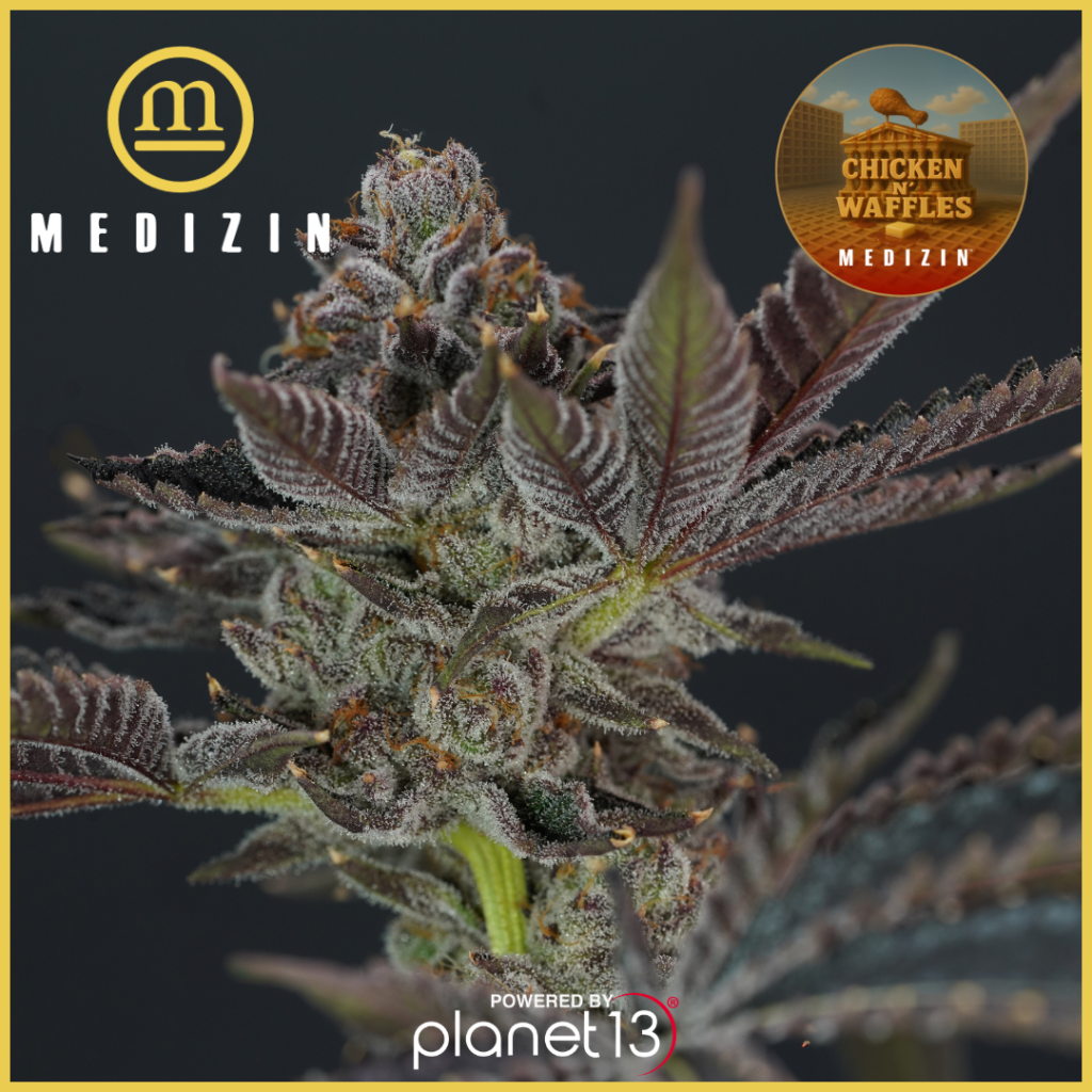 Medizin Chicken N' Waffles 3.5g Prepack