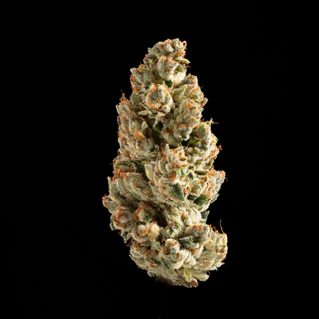 Khalifa Kush Khalifa Kush 3.5g Prepack
