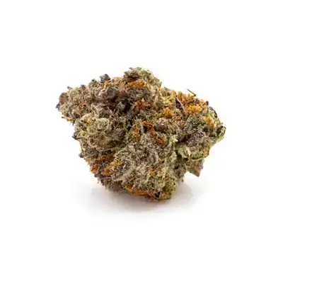 Spritzer Strain Flower cannabis strain flower bud