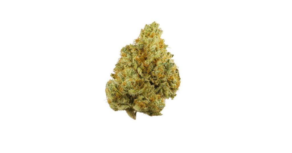 Sour Tangie Strain Flower cannabis strain flower bud