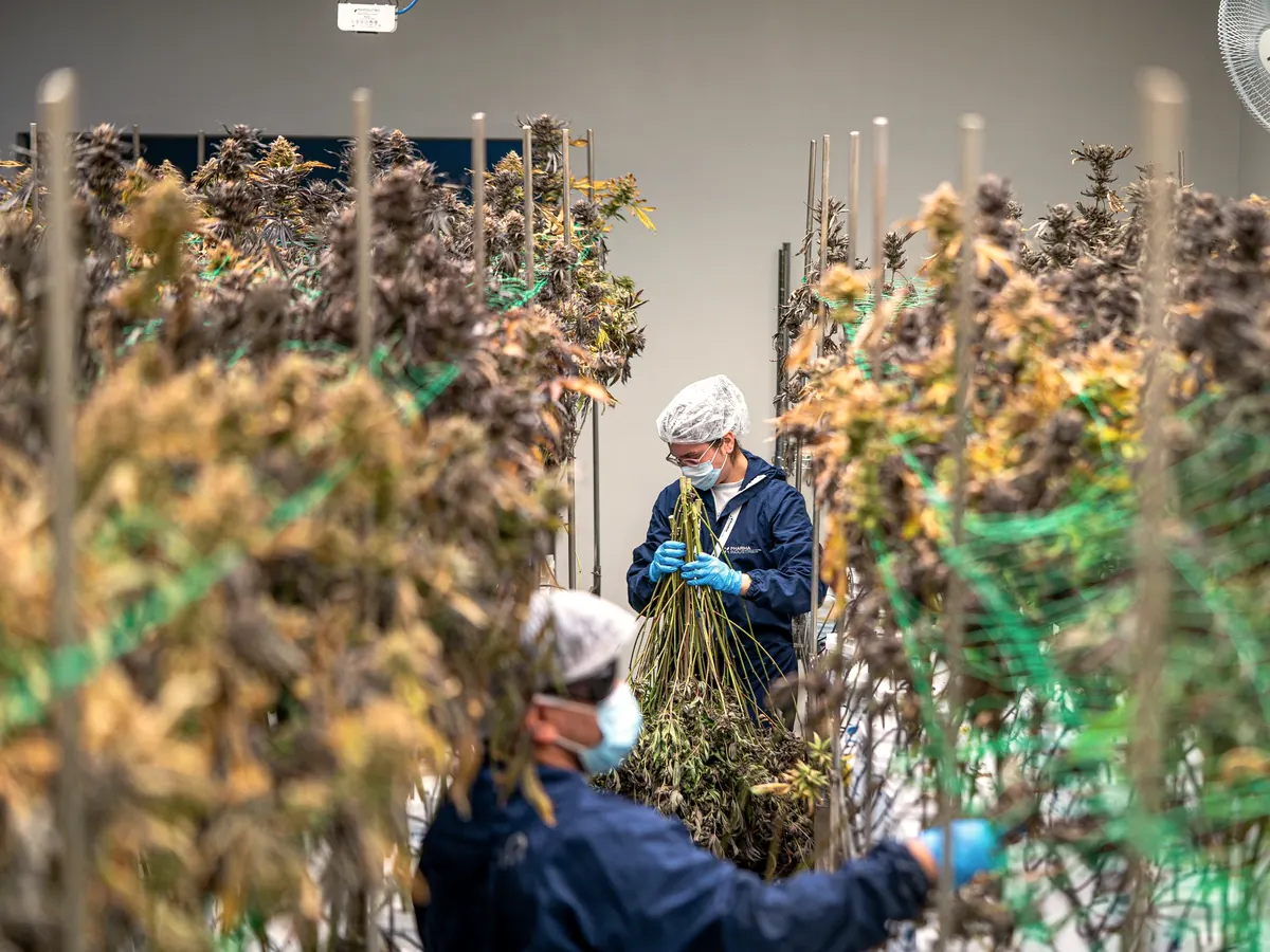 How we pick a farm: a day in Humboldt
